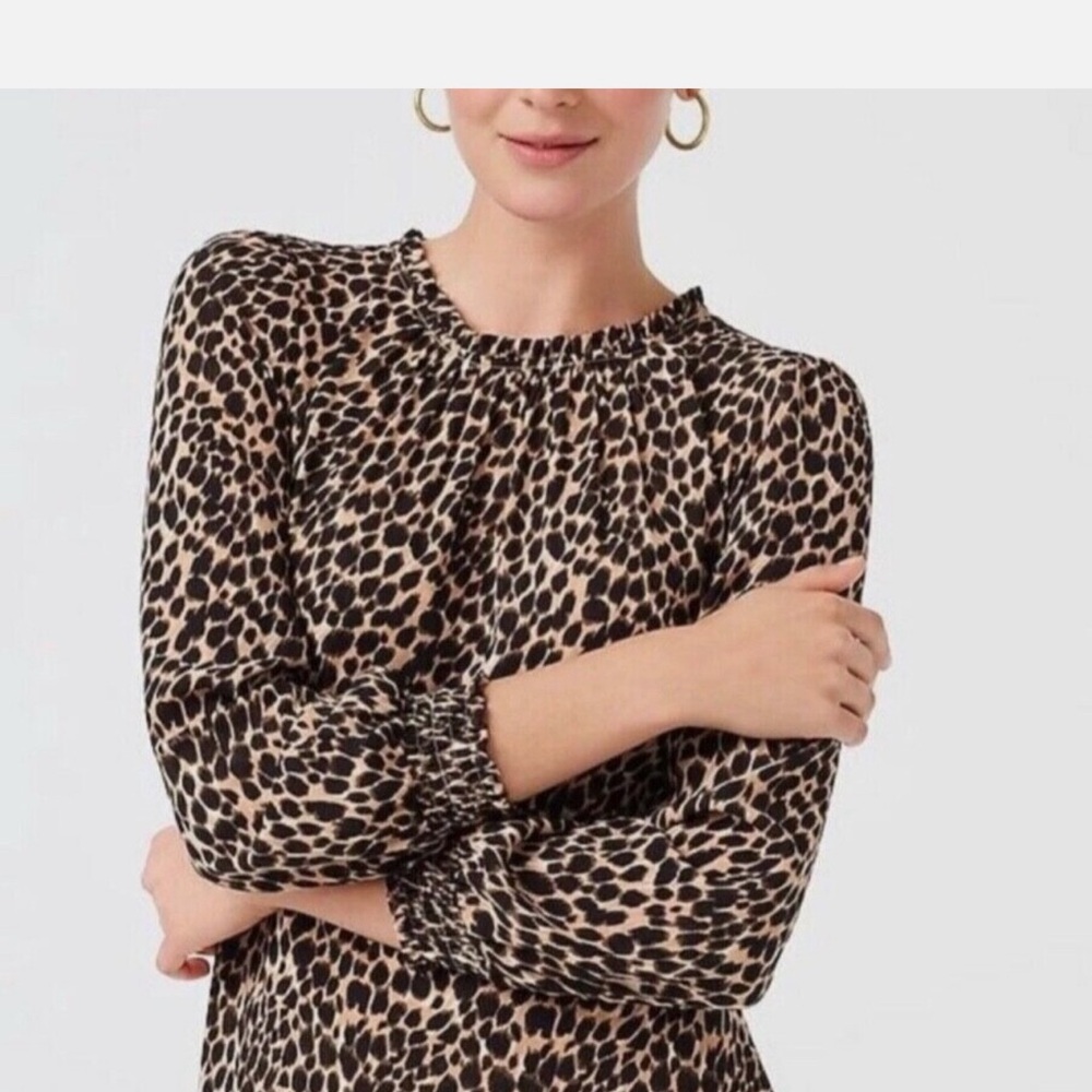 J. Crew Animal leopard Print Long Sleeve Dress size 10